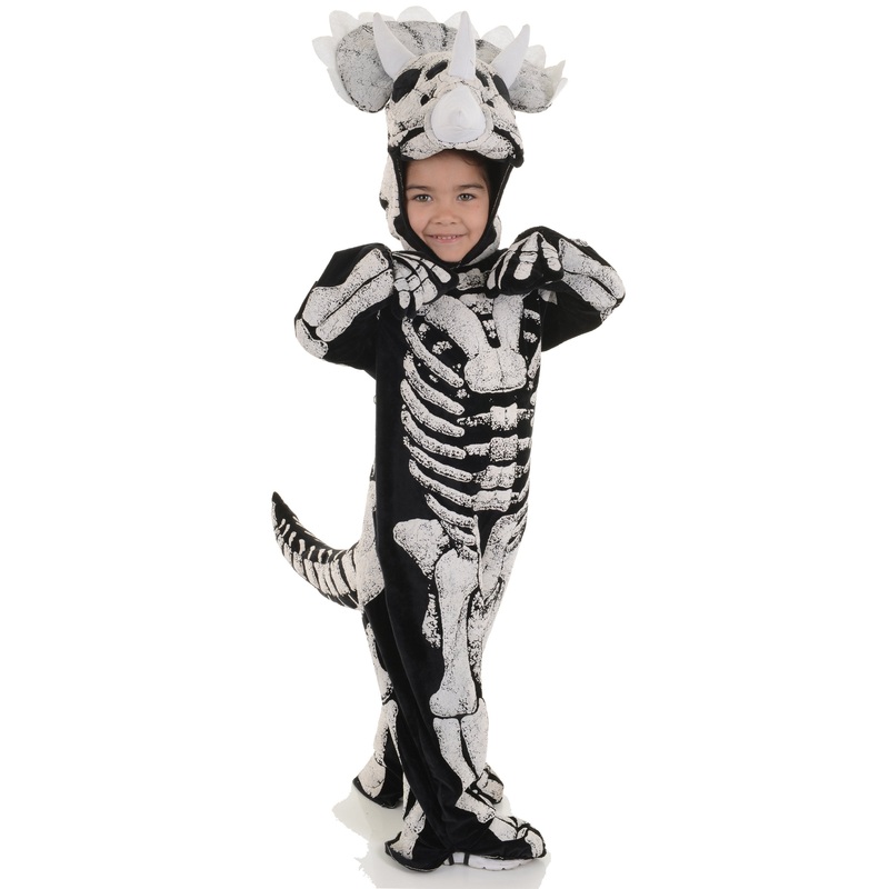 Triceratops Fossil Dinosaur | Toddler