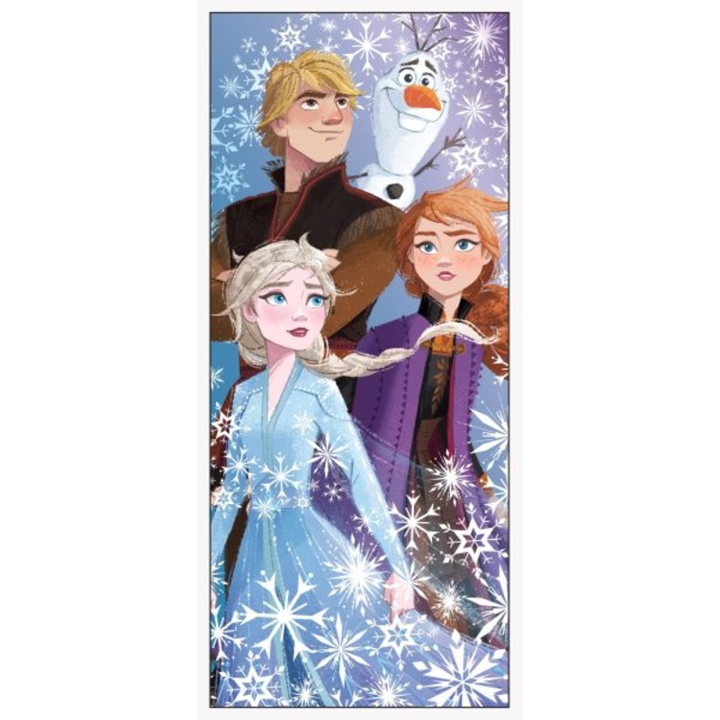 Disney Frozen 2 Door Poster  27" x 60"