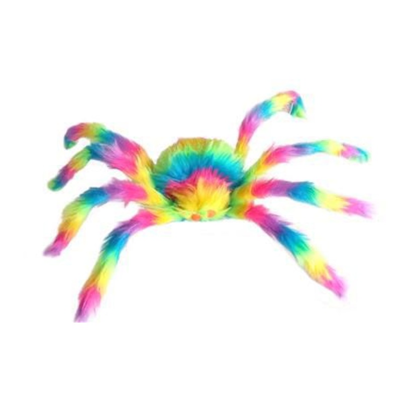 Rainbow Spider