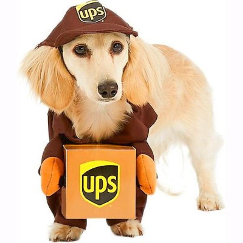 UPS Pal | Pet