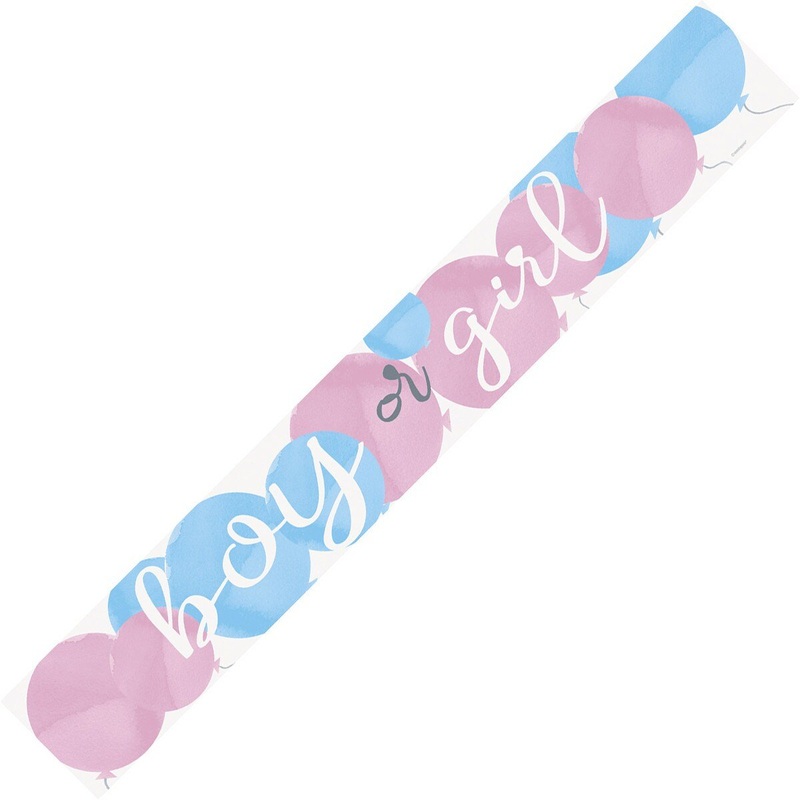 2.74m "Boy or Girl" Gender Reveal Foil Banner