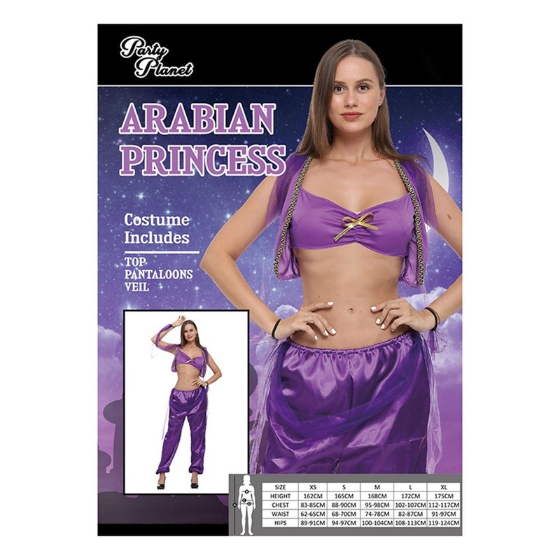 Adult Purple Arabian Princess Costume