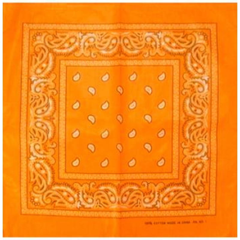 Orange Paisley Print Bandana