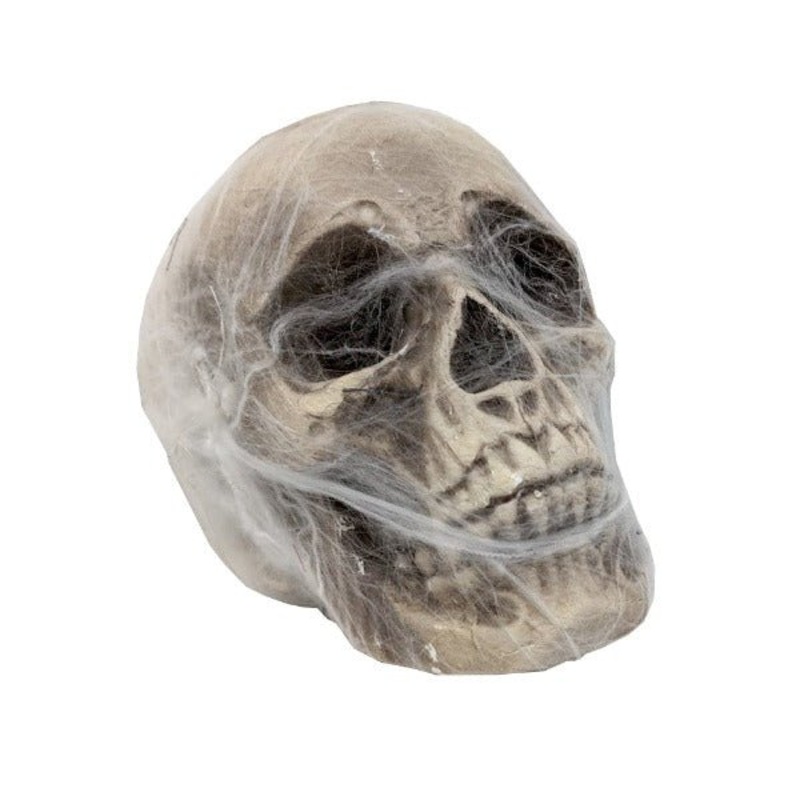 21cm Cobweb Wrapped Skull