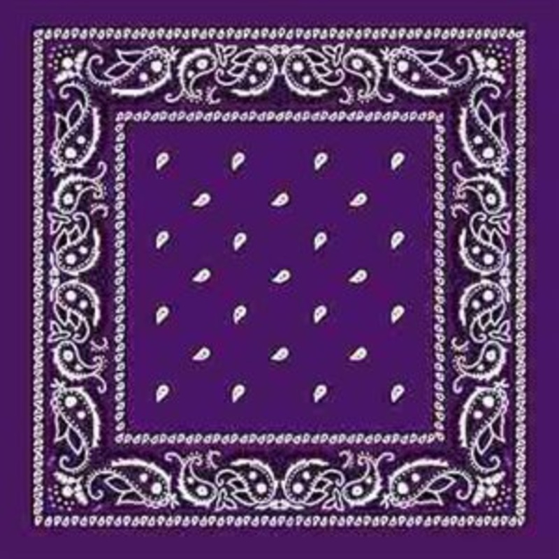 Purple Paisley Print Bandana