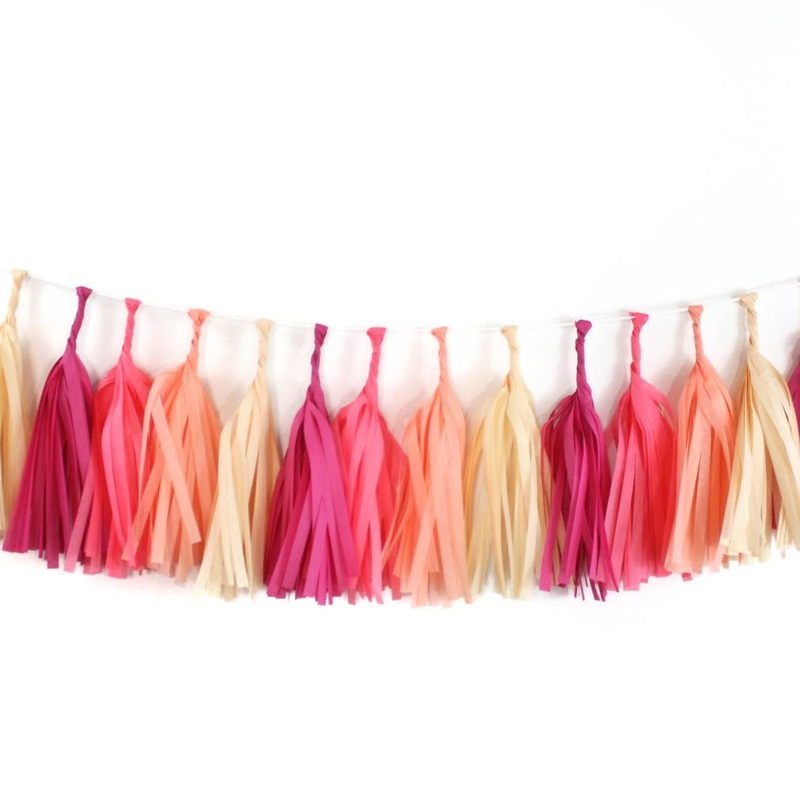 Tissue Tassel DIY Kit - Macaron