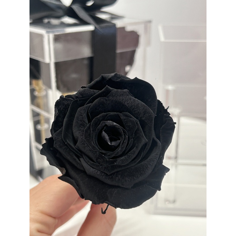 ACRYLIC ROSE BOX - BLACK