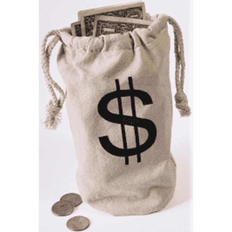 CANVAS PARTY MONEY BAG