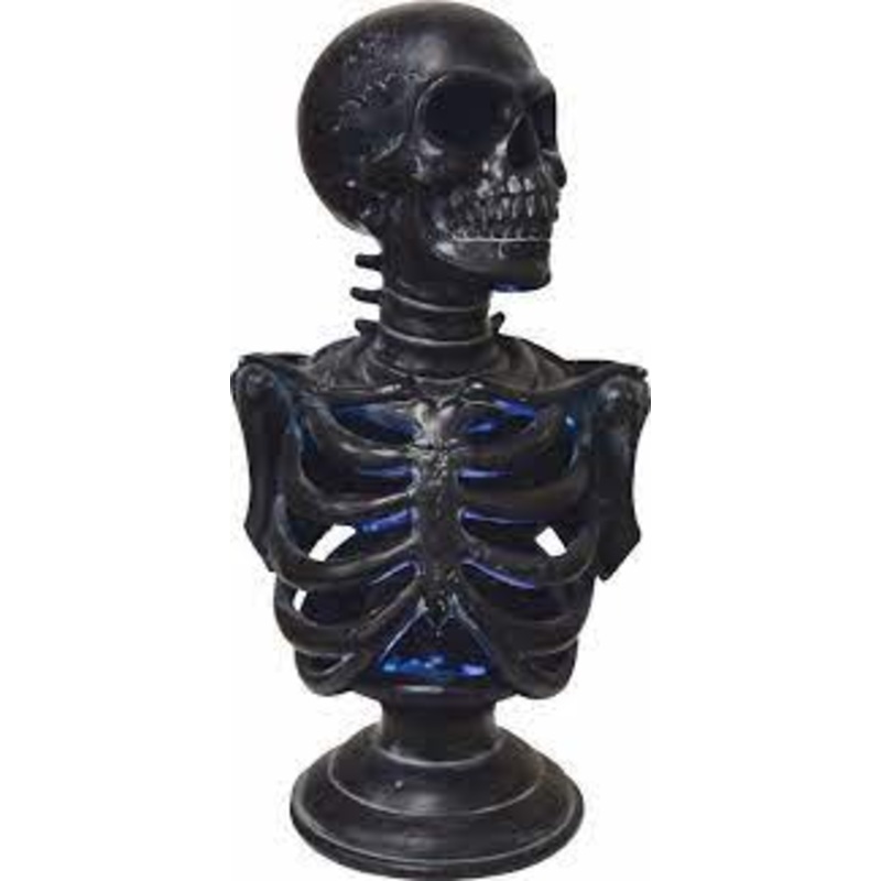 Light Up Skeleton Torso Prop