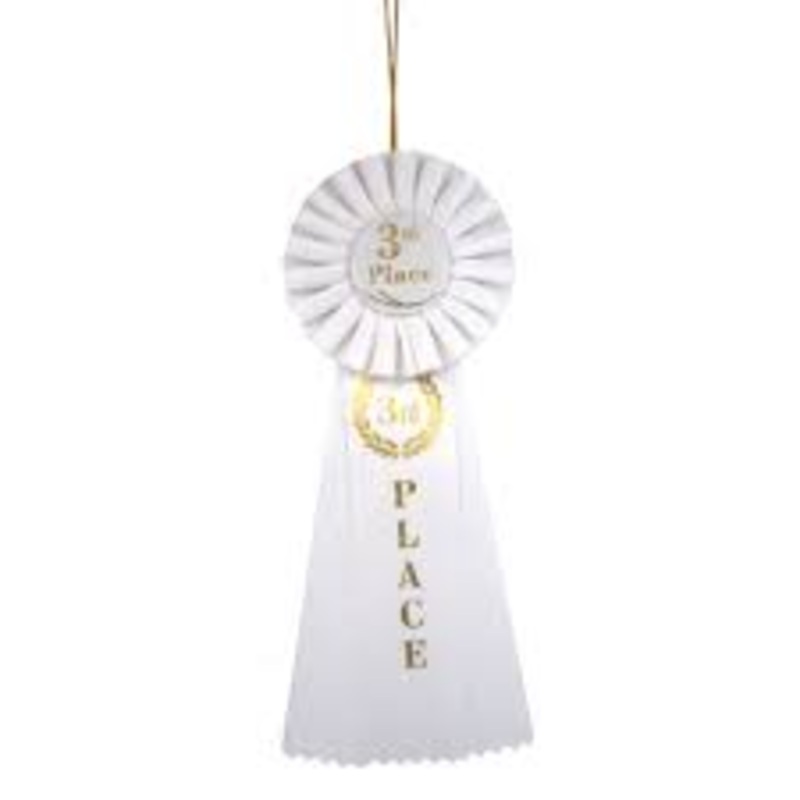 Third "3rd" Place Rosette Ribbon