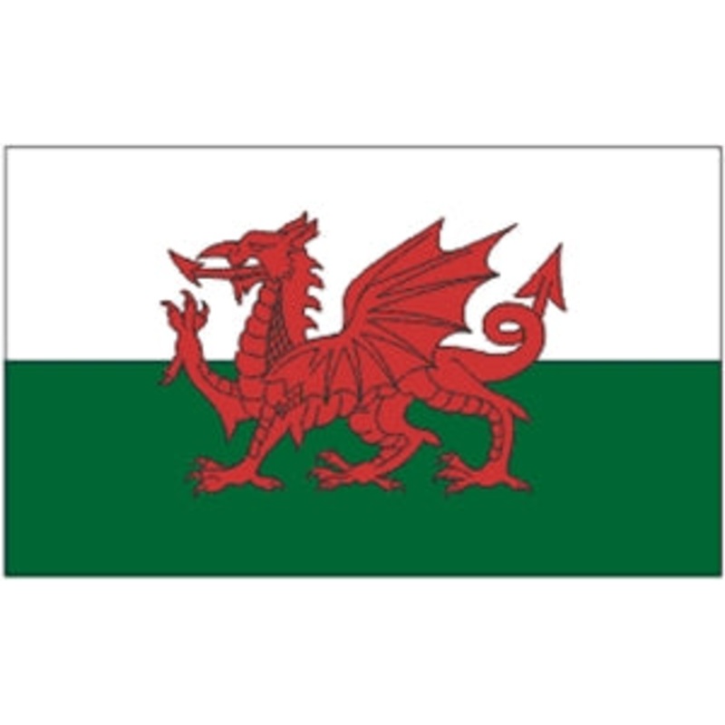 Flag 3X5 Wales