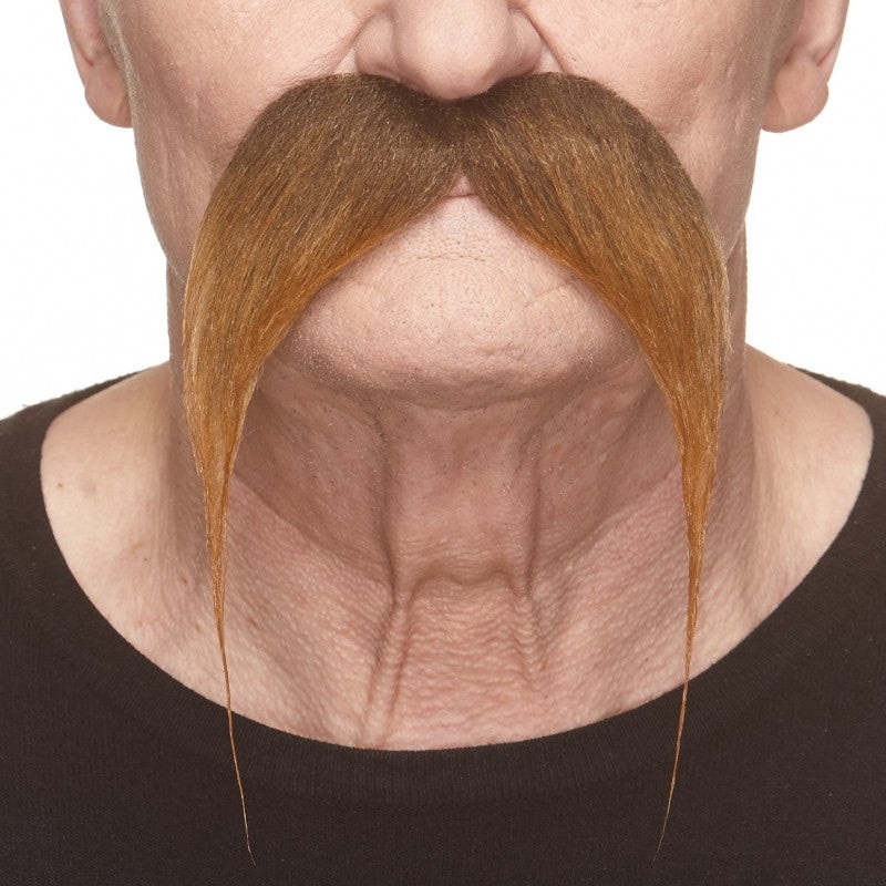 Mustache Kung Fu Ginger