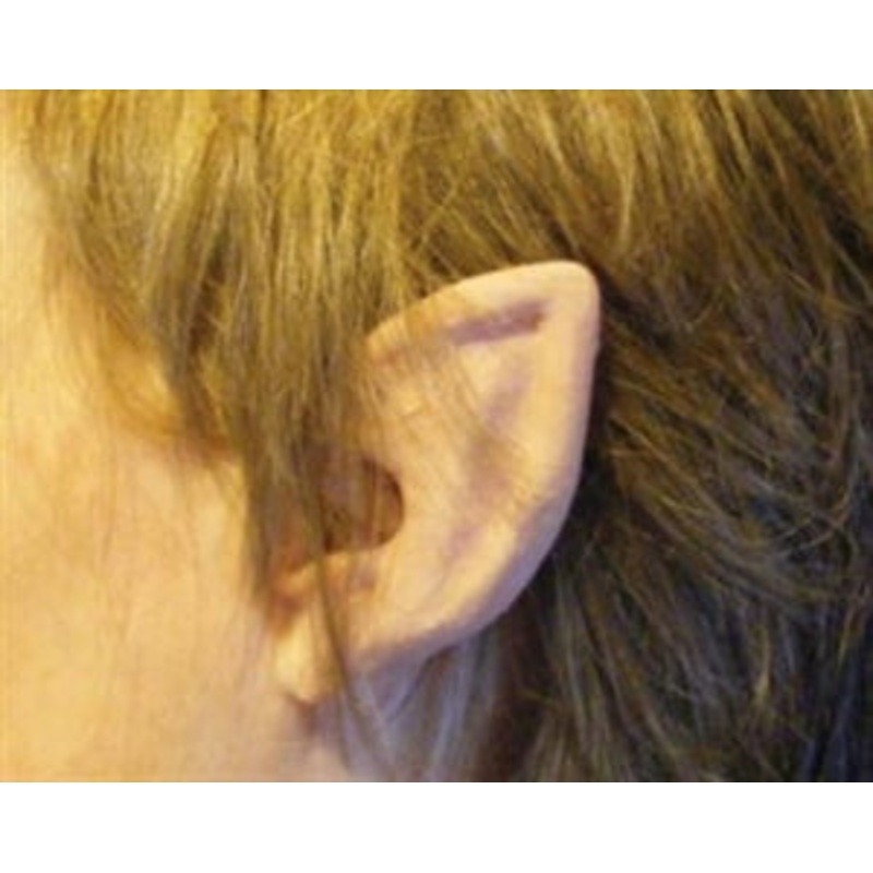 Elf Flesh Flexi Ears