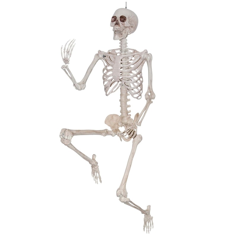 Skeleton 7FT Posable