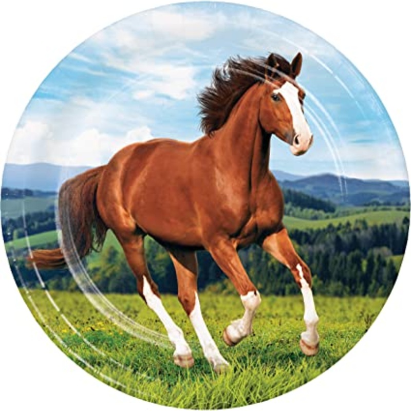 P9 Horse and Pony