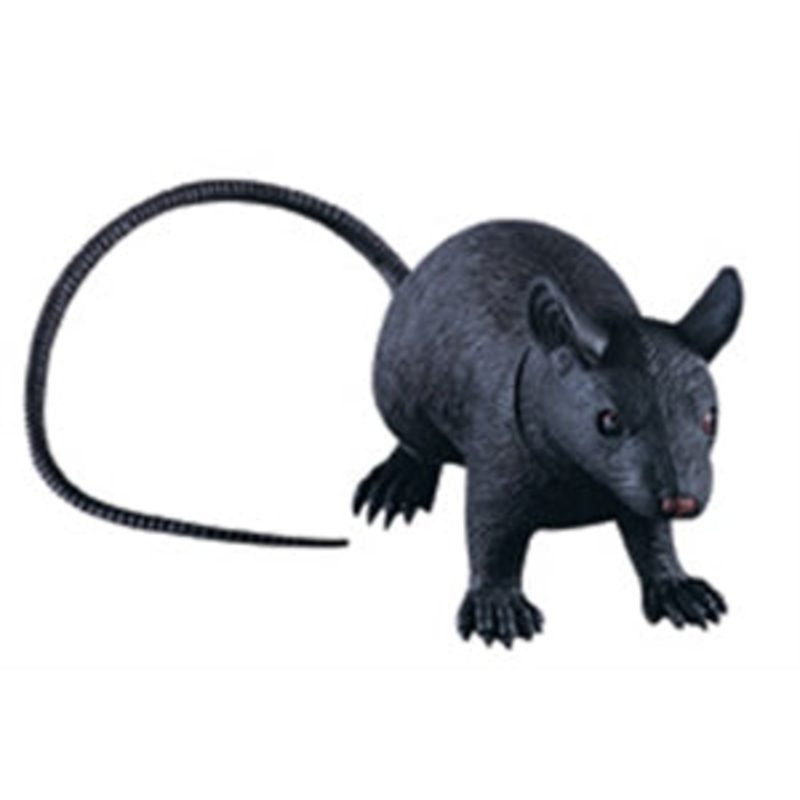 Rat Squeek 24IN